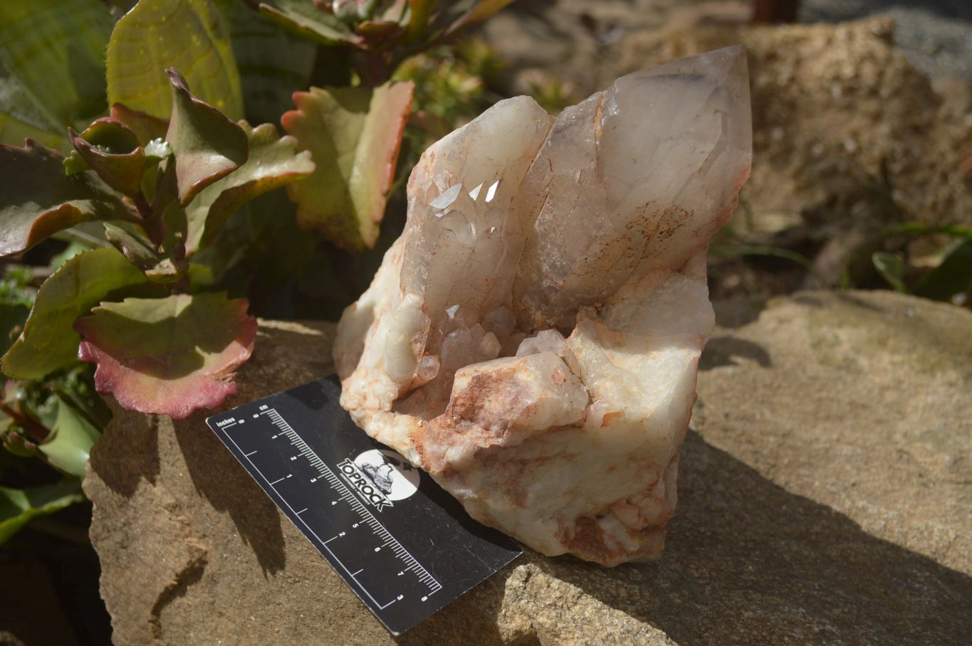 Natural Hematoid Quartz Clusters x 2 From Karoi, Zimbabwe - Toprock Gemstones and Minerals 