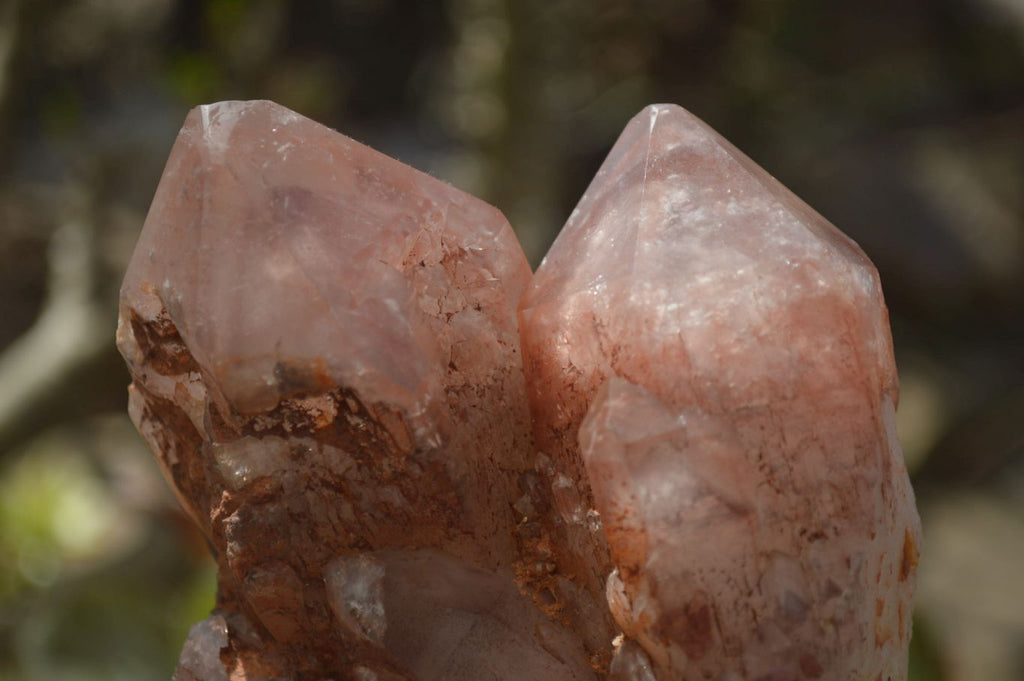 Natural Hematoid Quartz Clusters x 2 From Karoi, Zimbabwe - Toprock Gemstones and Minerals 