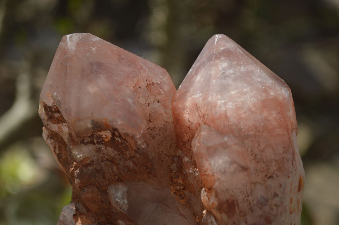 Natural Hematoid Quartz Clusters x 2 From Karoi, Zimbabwe - Toprock Gemstones and Minerals 