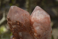 Natural Hematoid Quartz Clusters x 2 From Karoi, Zimbabwe - Toprock Gemstones and Minerals 