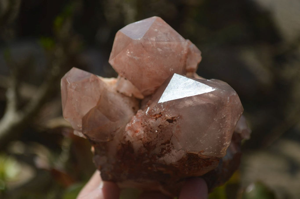 Natural Hematoid Quartz Clusters x 2 From Karoi, Zimbabwe - Toprock Gemstones and Minerals 