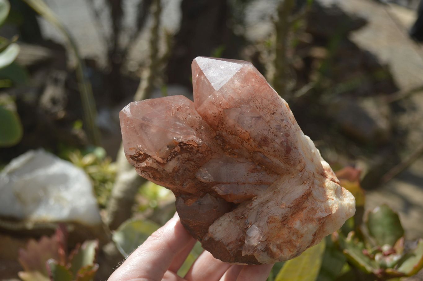 Natural Hematoid Quartz Clusters x 2 From Karoi, Zimbabwe - Toprock Gemstones and Minerals 