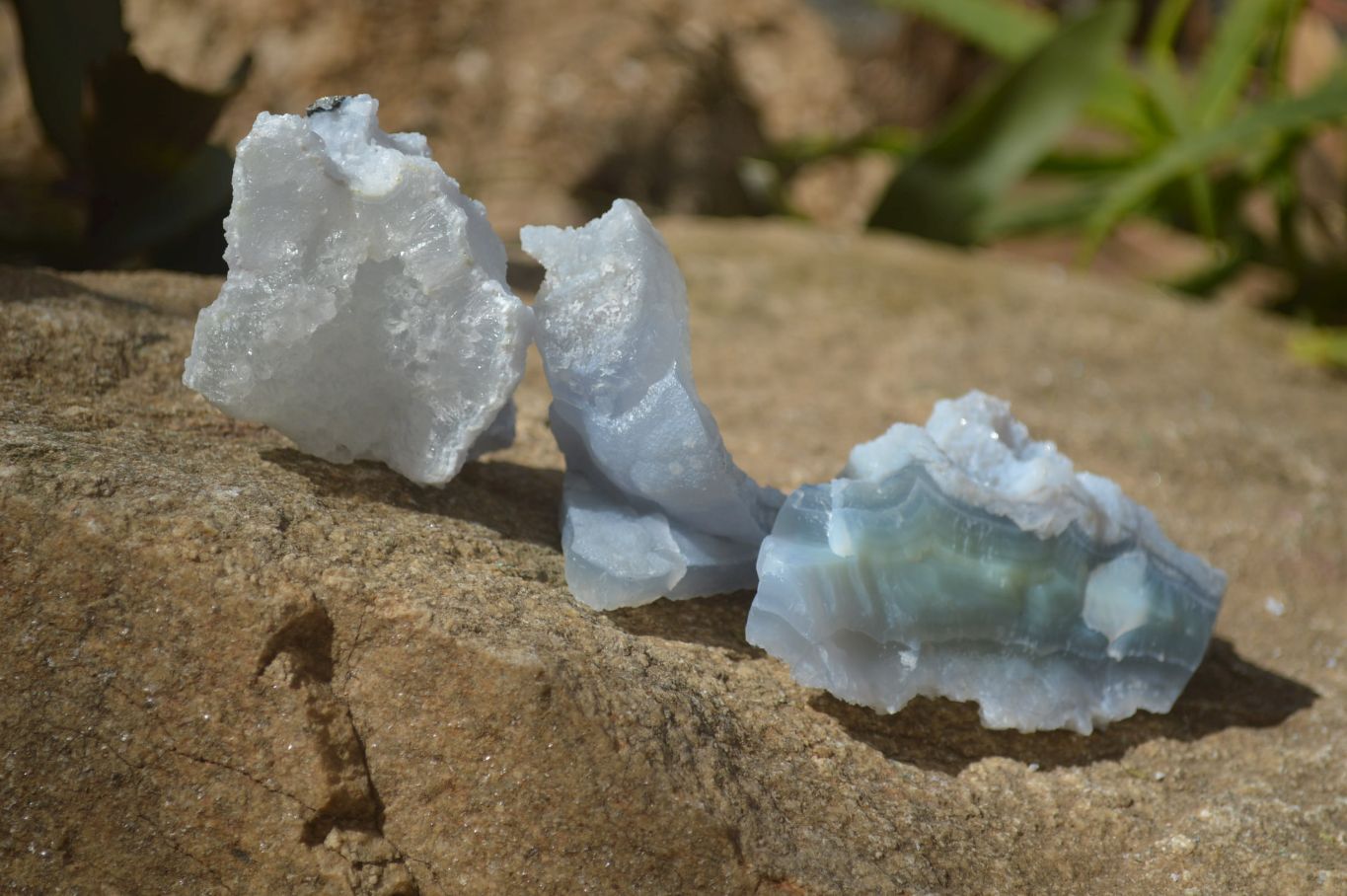 Natural Etched Blue Chalcedony Specimens x 12 From Nsanje, Malawi - Toprock Gemstones and Minerals 