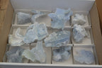 Natural Etched Blue Chalcedony Specimens x 12 From Nsanje, Malawi - Toprock Gemstones and Minerals 