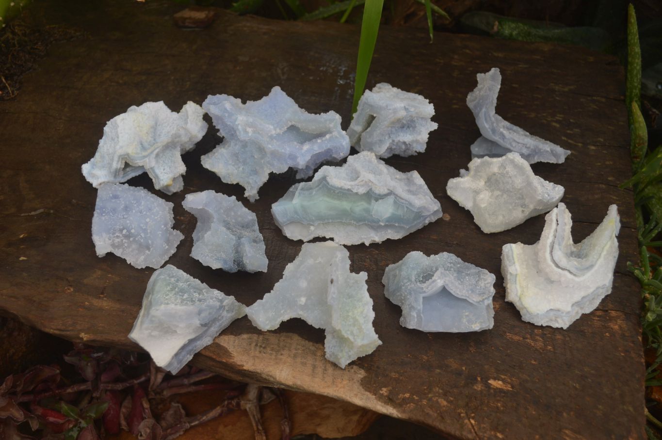 Natural Etched Blue Chalcedony Specimens x 12 From Nsanje, Malawi - Toprock Gemstones and Minerals 