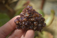 Natural Amethyst Plates x 35 From Kwaggafontein, South Africa - Toprock Gemstones and Minerals 