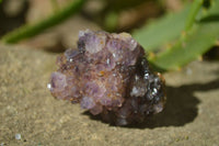Natural Amethyst Plates x 35 From Kwaggafontein, South Africa - Toprock Gemstones and Minerals 