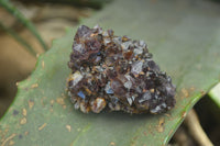 Natural Amethyst Plates x 35 From Kwaggafontein, South Africa - Toprock Gemstones and Minerals 