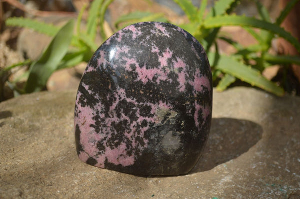 Polished Rhodonite Standing Free Form x 1 From Ambindavato, Madagascar - Toprock Gemstones and Minerals 