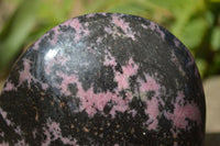 Polished Rhodonite Standing Free Form x 1 From Ambindavato, Madagascar - Toprock Gemstones and Minerals 
