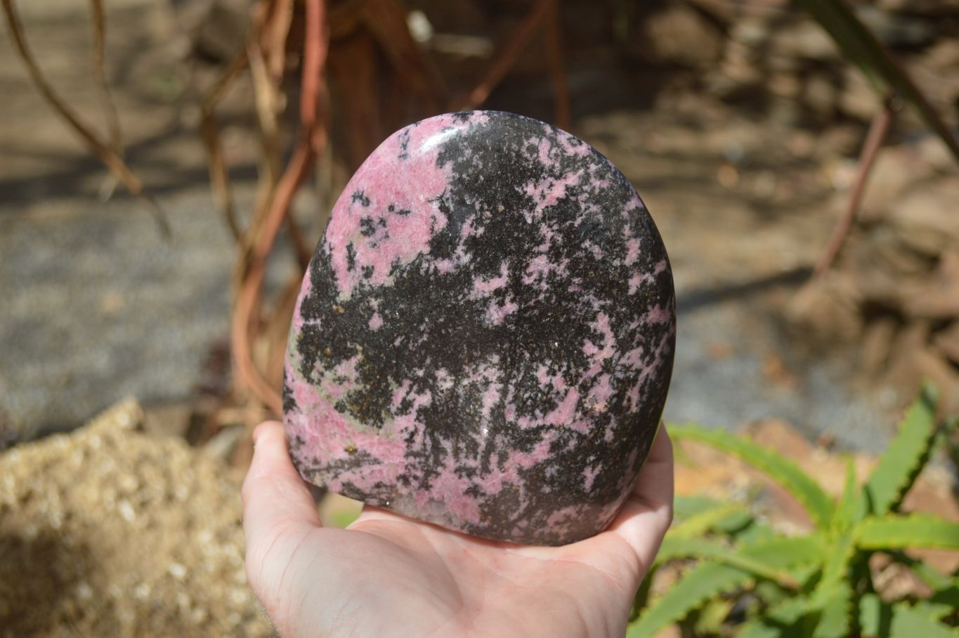 Polished Rhodonite Standing Free Form x 1 From Ambindavato, Madagascar - Toprock Gemstones and Minerals 