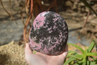 Polished Rhodonite Standing Free Form x 1 From Ambindavato, Madagascar - Toprock Gemstones and Minerals 