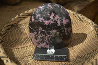 Polished Rhodonite Standing Free Form x 1 From Ambindavato, Madagascar - Toprock Gemstones and Minerals 