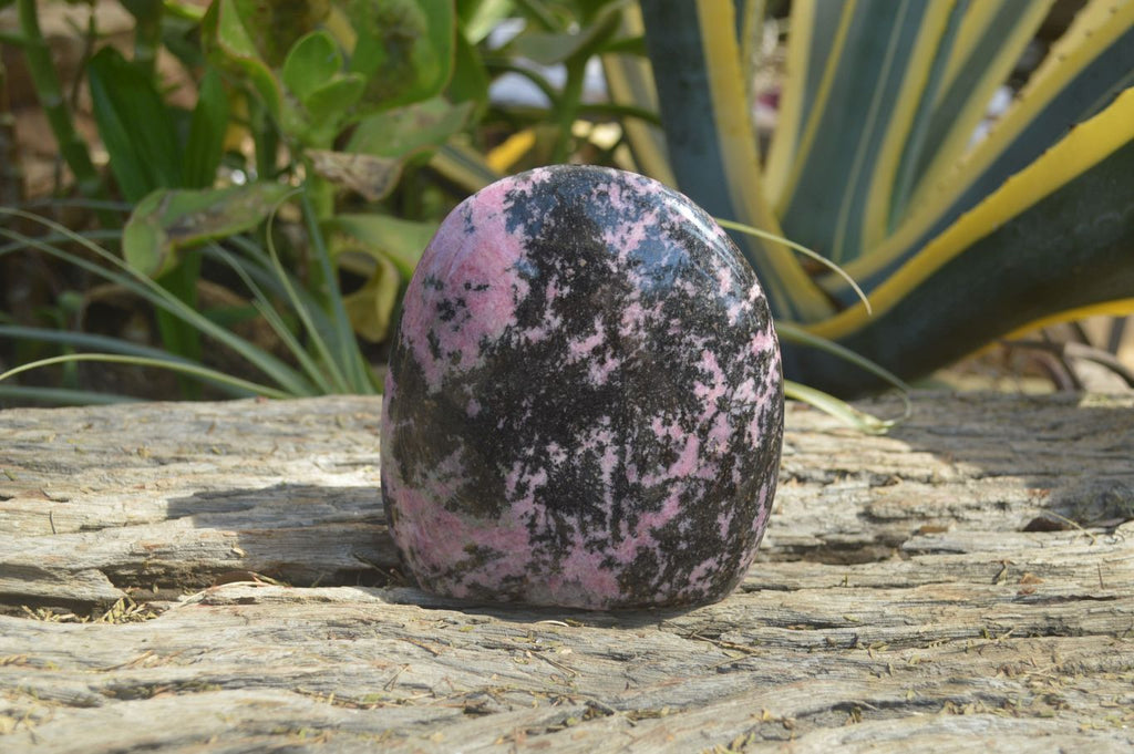 Polished Rhodonite Standing Free Form x 1 From Ambindavato, Madagascar - Toprock Gemstones and Minerals 