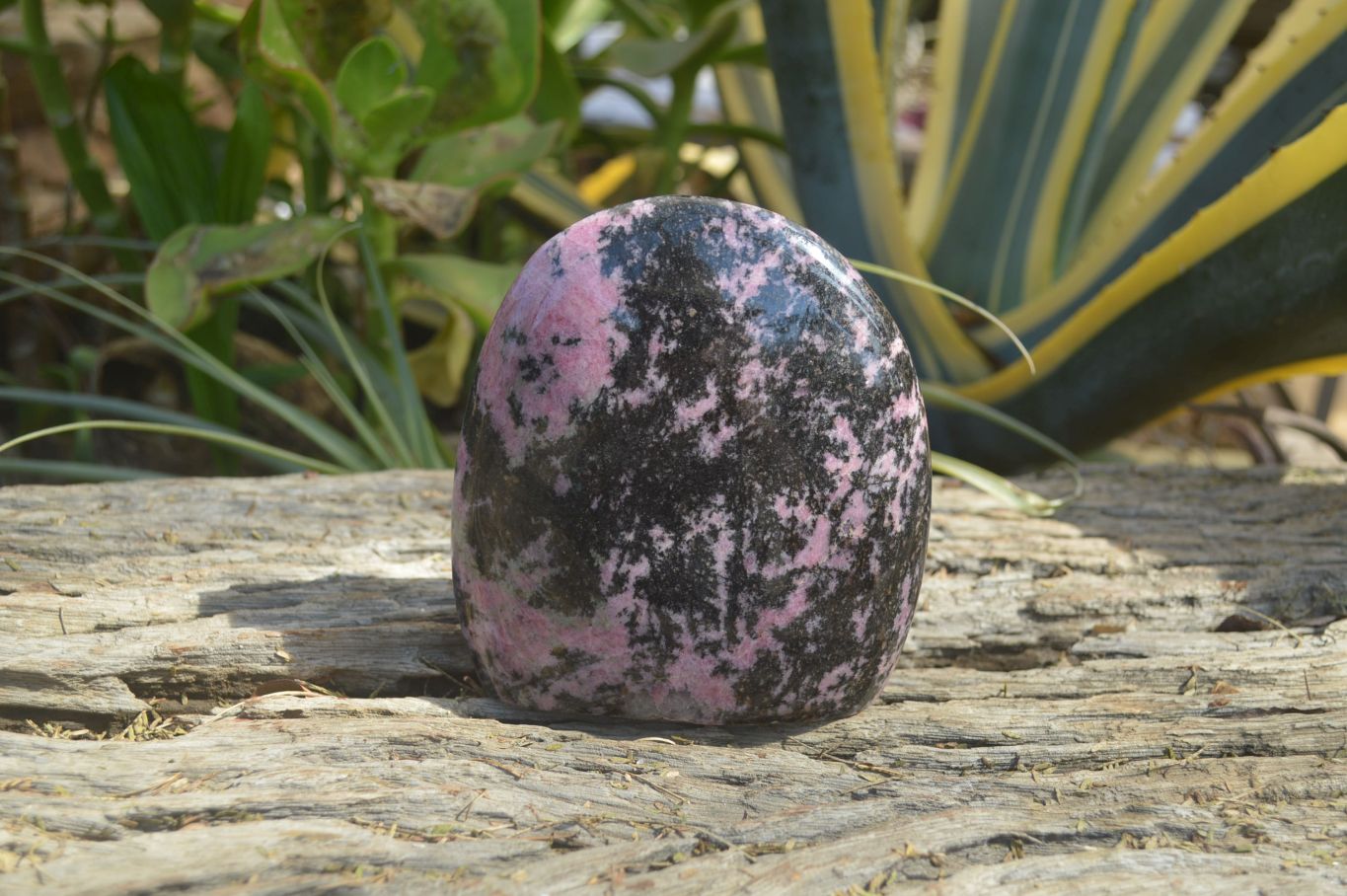 Polished Rhodonite Standing Free Form x 1 From Ambindavato, Madagascar - Toprock Gemstones and Minerals 