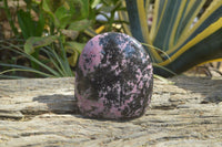 Polished Rhodonite Standing Free Form x 1 From Ambindavato, Madagascar - Toprock Gemstones and Minerals 