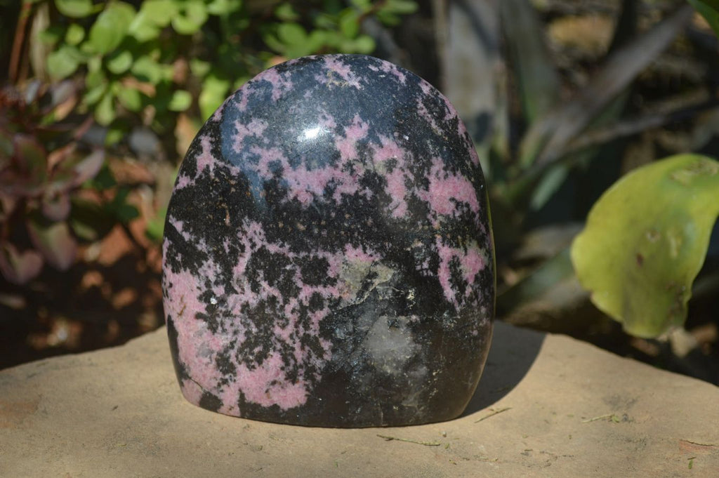 Polished Rhodonite Standing Free Form x 1 From Ambindavato, Madagascar - Toprock Gemstones and Minerals 