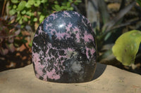 Polished Rhodonite Standing Free Form x 1 From Ambindavato, Madagascar - Toprock Gemstones and Minerals 