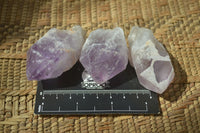 Natural Jacaranda Amethyst Crystals x 35 From Mumbwa, Zambia