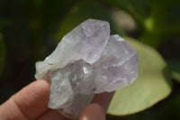Natural Jacaranda Amethyst Crystals x 35 From Mumbwa, Zambia