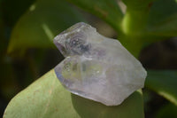 Natural Jacaranda Amethyst Crystals x 35 From Mumbwa, Zambia