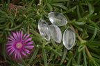 Polished Clear Quartz "Angel Tears" Pendant Pieces x 20 From Madagascar - Toprock Gemstones and Minerals 