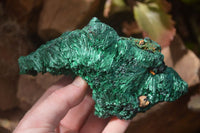 Natural Silky Malachite Specimens x 2 From Kasompe, Congo - Toprock Gemstones and Minerals 