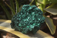 Natural Silky Malachite Specimens x 2 From Kasompe, Congo - Toprock Gemstones and Minerals 