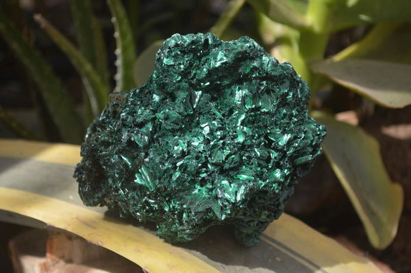 Natural Silky Malachite Specimens x 2 From Kasompe, Congo - Toprock Gemstones and Minerals 