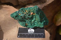 Natural Silky Malachite Specimens x 2 From Kasompe, Congo - Toprock Gemstones and Minerals 