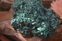 Natural Silky Malachite Specimens x 2 From Kasompe, Congo - Toprock Gemstones and Minerals 