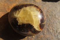 Polished Septerye Galets / Palm Stones x 12 From Mahajanga, Madagascar - Toprock Gemstones and Minerals 