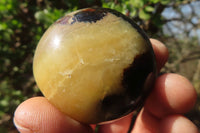 Polished Septerye Galets / Palm Stones x 12 From Mahajanga, Madagascar - Toprock Gemstones and Minerals 