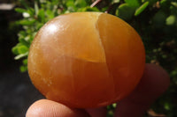 Polished Septerye Galets / Palm Stones x 12 From Mahajanga, Madagascar - Toprock Gemstones and Minerals 