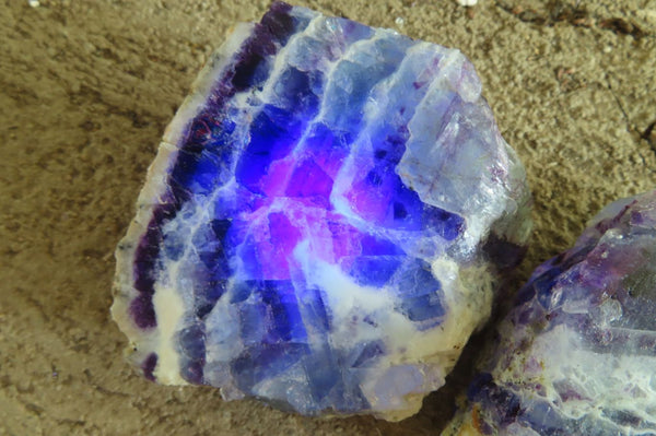 Polished On One Side Watermelon Fluorite x 12 From Uis, Namibia - Toprock Gemstones and Minerals 