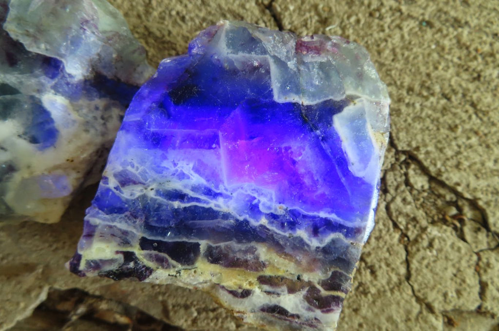 Polished On One Side Watermelon Fluorite x 12 From Uis, Namibia - Toprock Gemstones and Minerals 