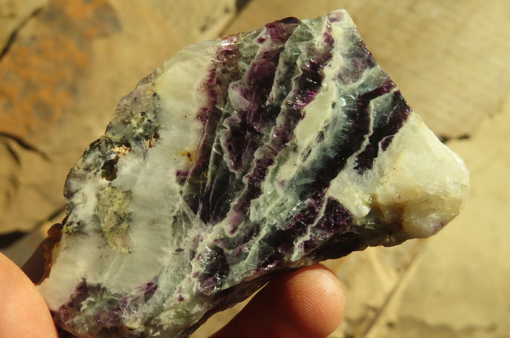 Polished On One Side Watermelon Fluorite x 12 From Uis, Namibia - Toprock Gemstones and Minerals 