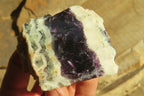 Polished On One Side Watermelon Fluorite x 12 From Uis, Namibia - Toprock Gemstones and Minerals 