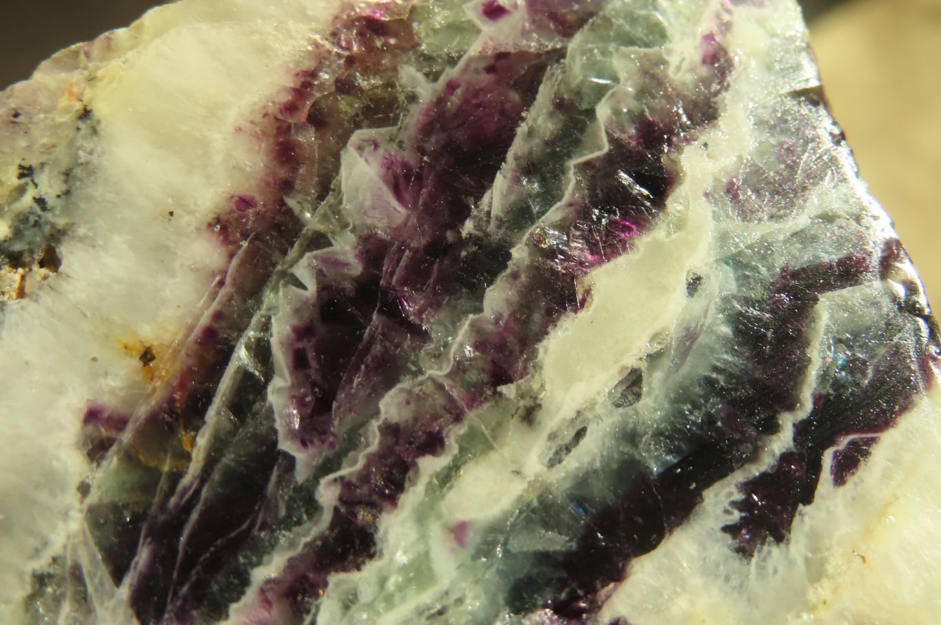 Polished On One Side Watermelon Fluorite x 12 From Uis, Namibia - Toprock Gemstones and Minerals 