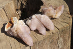 Natural Spirit Quartz Clusters x 6 From Boekenhouthoek, South Africa - Toprock Gemstones and Minerals 