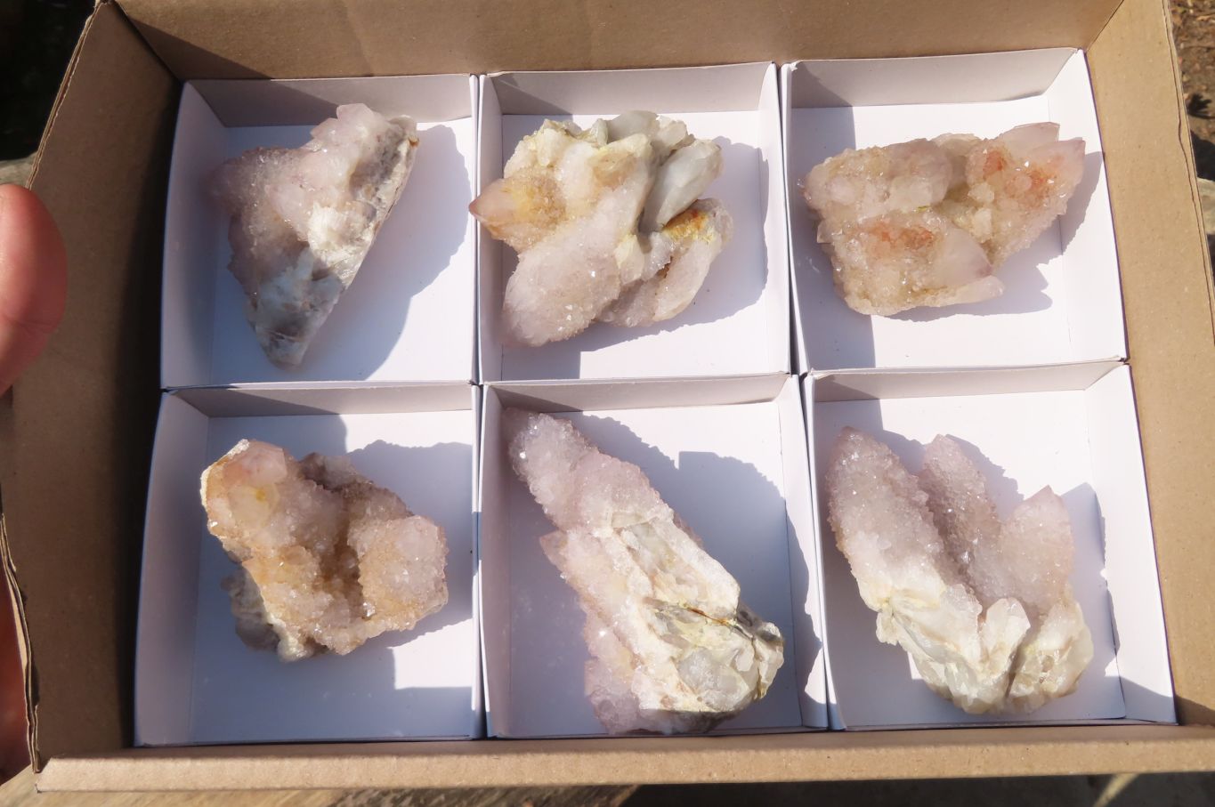 Natural Spirit Quartz Clusters x 6 From Boekenhouthoek, South Africa - Toprock Gemstones and Minerals 