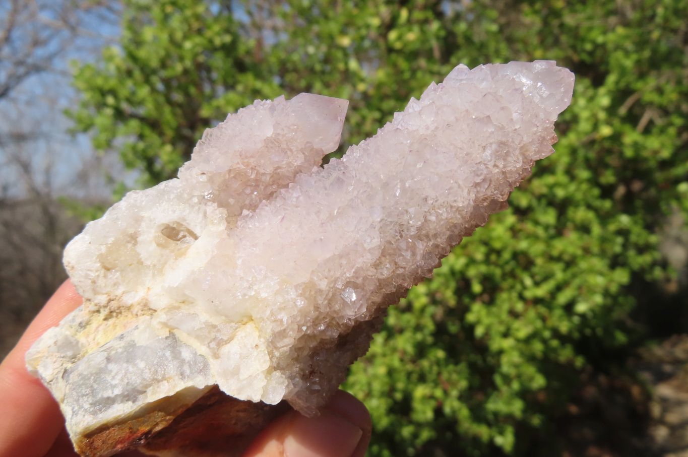 Natural Spirit Quartz Clusters x 6 From Boekenhouthoek, South Africa - Toprock Gemstones and Minerals 