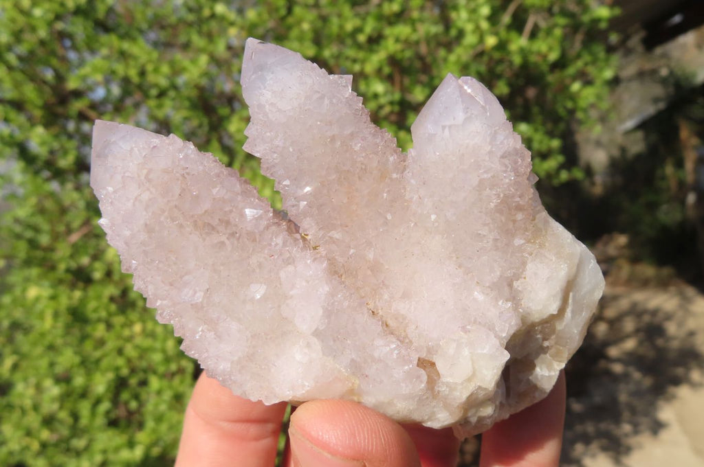 Natural Spirit Quartz Clusters x 6 From Boekenhouthoek, South Africa - Toprock Gemstones and Minerals 