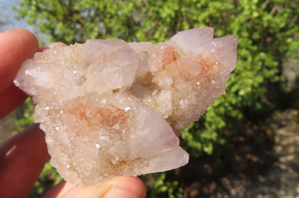 Natural Spirit Quartz Clusters x 6 From Boekenhouthoek, South Africa - Toprock Gemstones and Minerals 