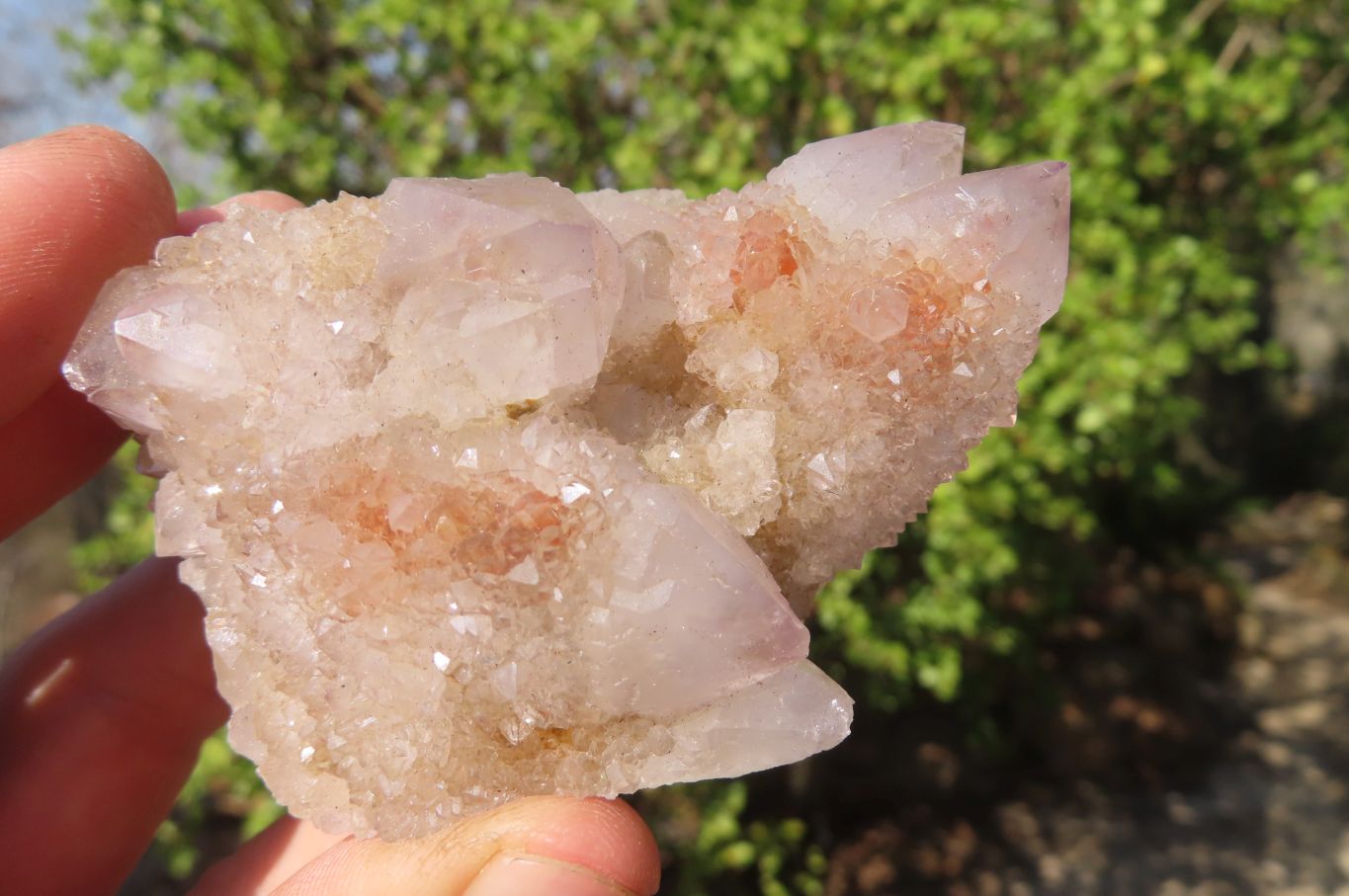 Natural Spirit Quartz Clusters x 6 From Boekenhouthoek, South Africa - Toprock Gemstones and Minerals 