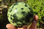 Polished Leopard Stone Spheres x 2 From Inyanga, Zimbabwe - Toprock Gemstones and Minerals 