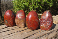 Polished Red Jasper Standing Free Forms x 4 From Madagascar - Toprock Gemstones and Minerals 