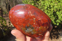 Polished Red Jasper Standing Free Forms x 4 From Madagascar - Toprock Gemstones and Minerals 