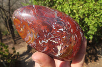 Polished Red Jasper Standing Free Forms x 4 From Madagascar - Toprock Gemstones and Minerals 