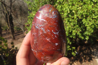 Polished Red Jasper Standing Free Forms x 4 From Madagascar - Toprock Gemstones and Minerals 